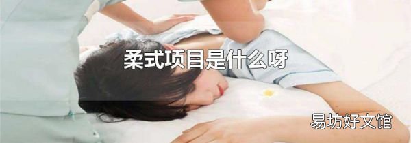 柔式项目是什么呀