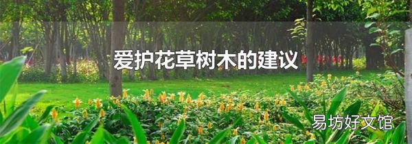 愛護(hù)花草樹木的建議