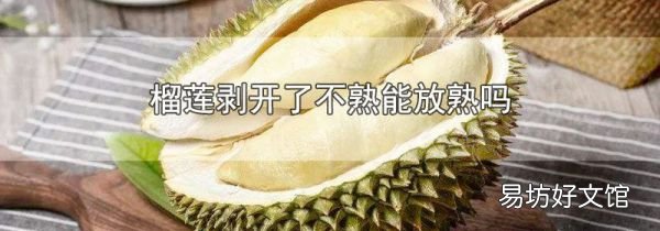 榴莲剥开了不熟能放熟吗
