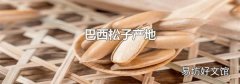 巴西松子产地