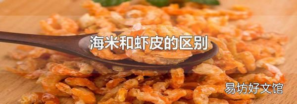 海米和虾皮的区别