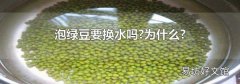 泡绿豆要换水吗?为什么?