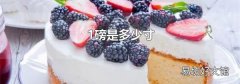 1磅是多少寸