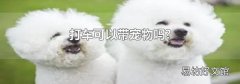 打车可以带宠物吗?