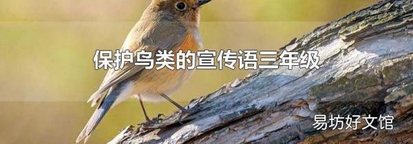 保护鸟类的宣传语三年级