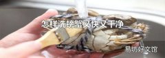 怎样洗螃蟹又快又干净