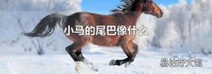 小马的尾巴像什么