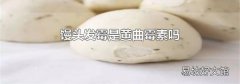 馒头发霉是黄曲霉素吗