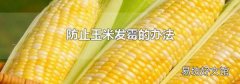 防止玉米发霉的办法