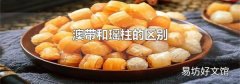 澳带和瑶柱的区别
