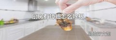 厨房有蟑螂怎么除根