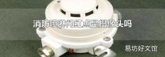 消防噴淋閃紅點(diǎn)是攝像頭嗎