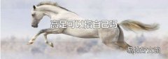 高足可以指自己嗎