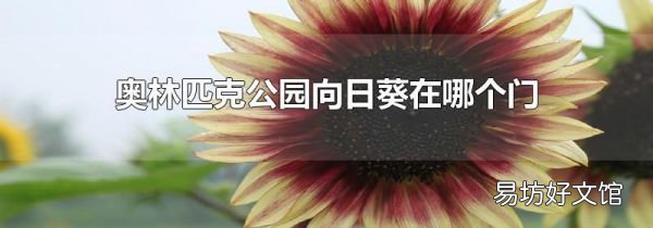 奧林匹克公園向日葵在哪個門