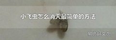 小飛蟲怎么消滅最簡單的方法