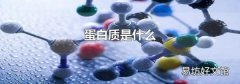 蛋白质是什么