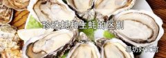 珍珠蠔和生蠔的區(qū)別