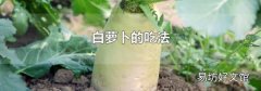 白蘿卜的吃法