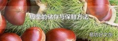 板栗的储存与保鲜方法