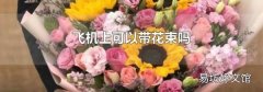 飞机上可以带花束吗