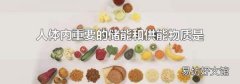 人体内重要的储能和供能物质是