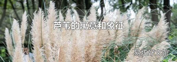 蘆葦?shù)脑⒁夂拖笳?
onload=