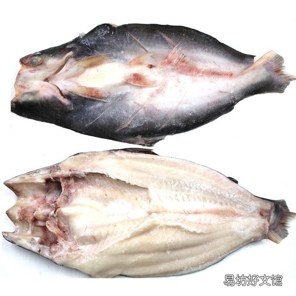 烤鱼店的湄公鱼是什么鱼 湄公鱼和清江鱼哪个好
