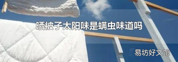 曬被子太陽味是螨蟲味道嗎