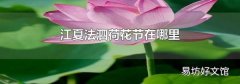 江夏法泗荷花節(jié)在哪里