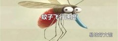 蚊子飛行速度