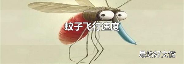 蚊子飛行速度