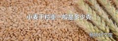 小麦千粒重一般是多少克