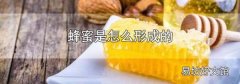蜂蜜是怎么形成的