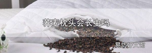 蕎麥枕頭會(huì)長蟲嗎