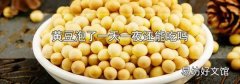 黄豆泡了一天一夜还能吃吗