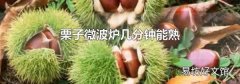 栗子微波炉几分钟能熟