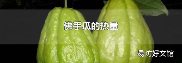 佛手瓜的热量
