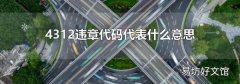 4312违章代码代表什么意思