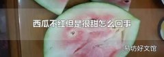 西瓜不紅但是很甜怎么回事