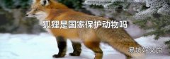 狐貍是國(guó)家保護(hù)動(dòng)物嗎