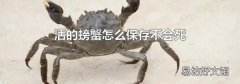 活的螃蟹怎么保存不會死