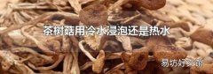 茶樹菇用冷水浸泡還是熱水