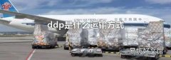 ddp是什么運輸方式