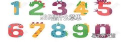 285是什么意思