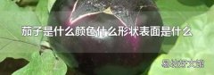 茄子是什么顏色什么形狀表面是什么