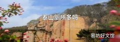 泰山廁所多嗎