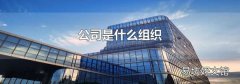公司是什么组织