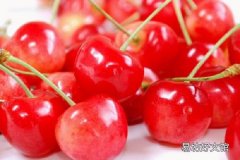 什么树可以嫁接樱桃树 樱桃树冬天可以嫁接吗