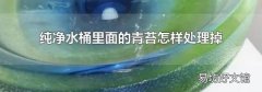 纯净水桶里面的青苔怎样处理掉