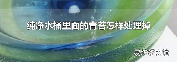 纯净水桶里面的青苔怎样处理掉